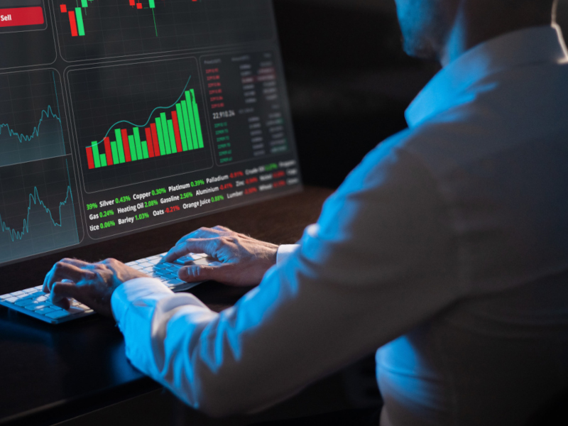 Software Development Insights