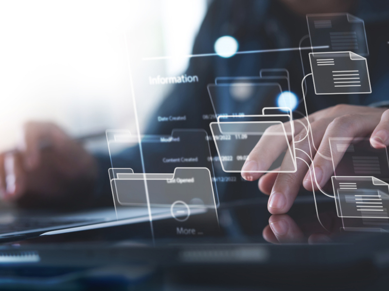 Software Development Insights